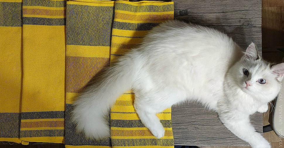 Коллекция полотенец, которые Ольга соткала на ткацком станке в Украсе