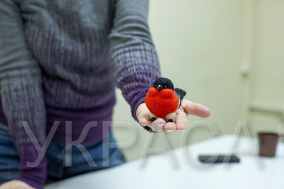 Войлочная игрушка Снегирь мастер класс с Ириной Стулий в Украсе_8